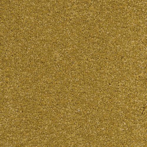 Ковролин AW Vivendi Punch 54