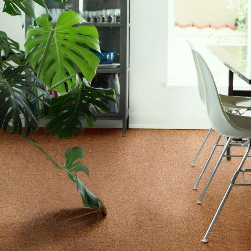 Ковролин Edel Breeze 253 Caramel