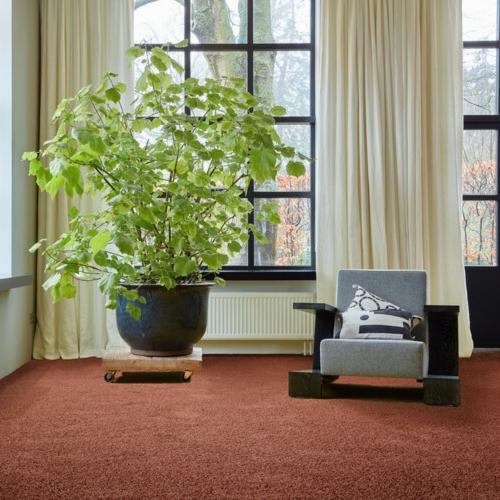 Ковролин Edel Connection 145 Family