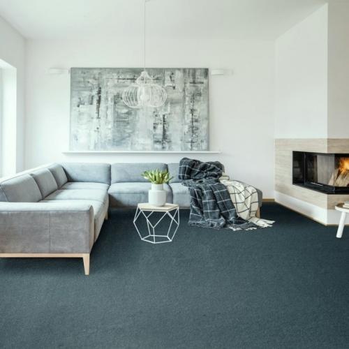 Ковролин Edel Whoop 169 Pewter