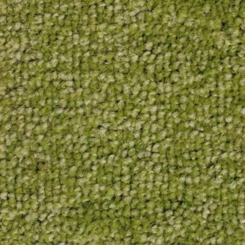 Ковролин SAG Palmira 8001