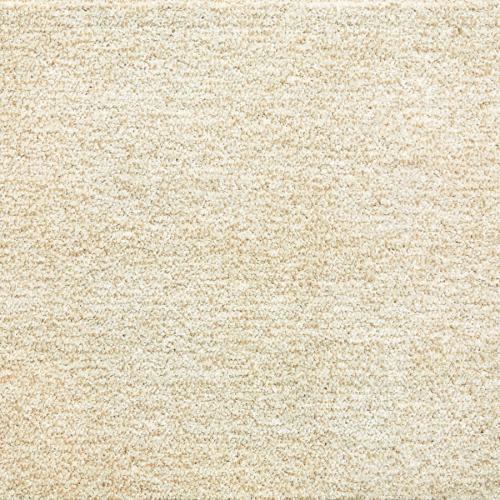 Ковролин Tarkett Dragon 10231