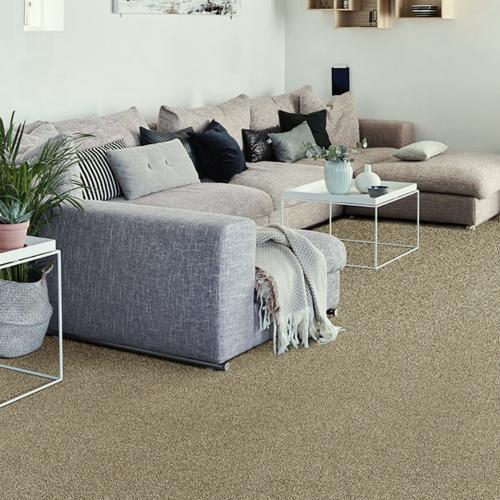 Ковролин Зартекс Адель 43