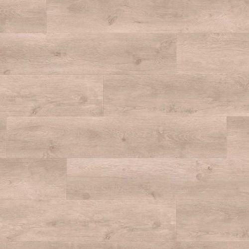 Ламинат Haro Tritty 100 Campus 4V 538748 Дуб Бергамо Серебрянно-Серый