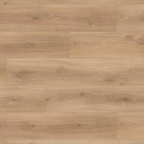 Ламинат Haro Tritty 100 Campus 4V 538750 Дуб Эмилия Пуро