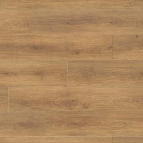 Ламинат Haro Tritty 100 Campus 4V 541541 Дуб Эмилия Медовый