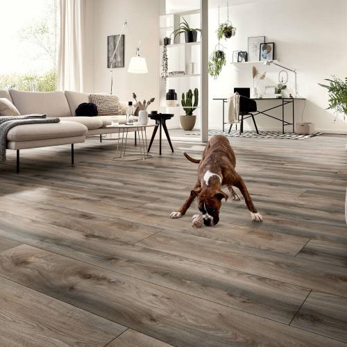 Ламинат Kronotex Mammut Plus D 4792 Дуб серый Макро