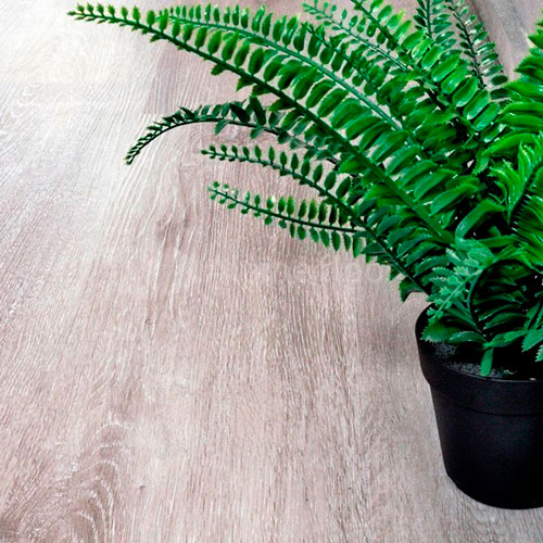 Кварцвиниловая плитка Alpine Floor Classic ECO 134-5 Ясень серый